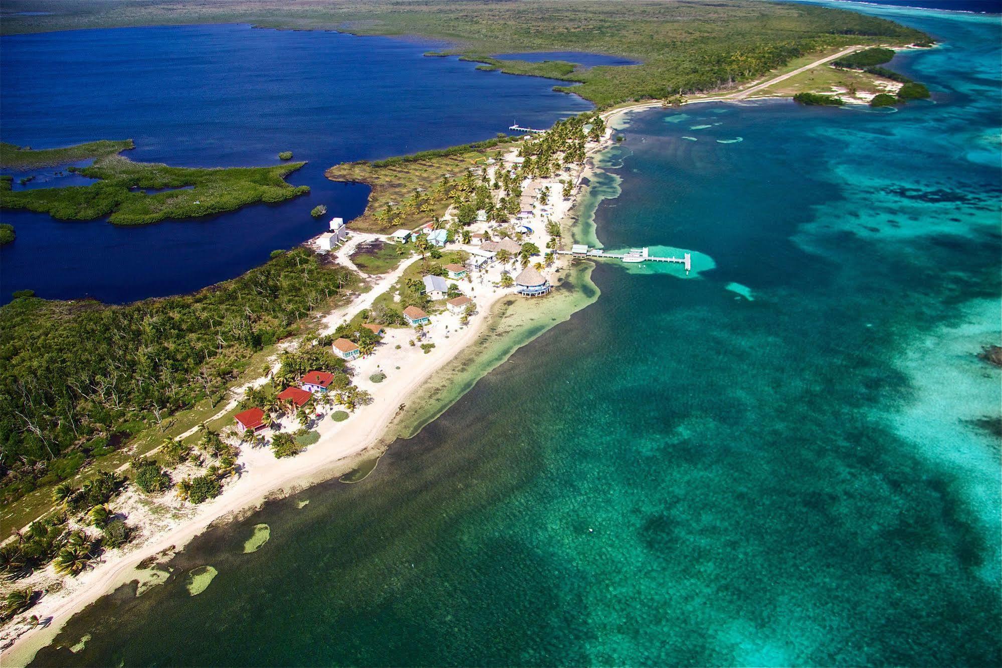 Blackbird Caye Resort Turneffe Atoll Exterior foto
